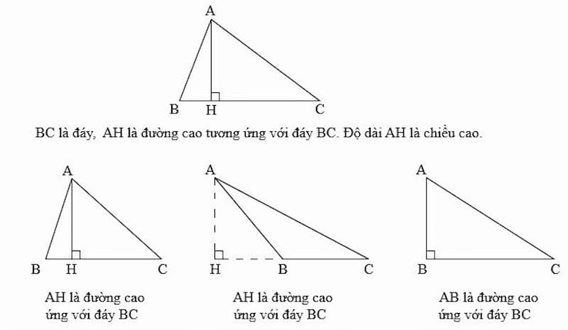 Công thức tính chiều cao hình tam giác lớp 5 Gallery 2