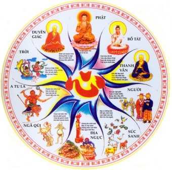 Cứng cỏi là gì? Gallery 2