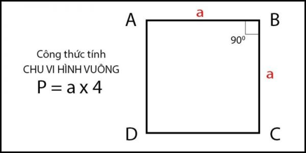 Diện tích hình vuông tính như thế nào? Gallery 2