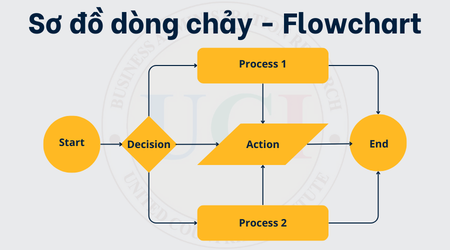 Dong dỏng cao là gì? Gallery 2