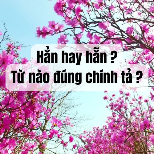 Hằn học hay hằn hộc? Gallery 2