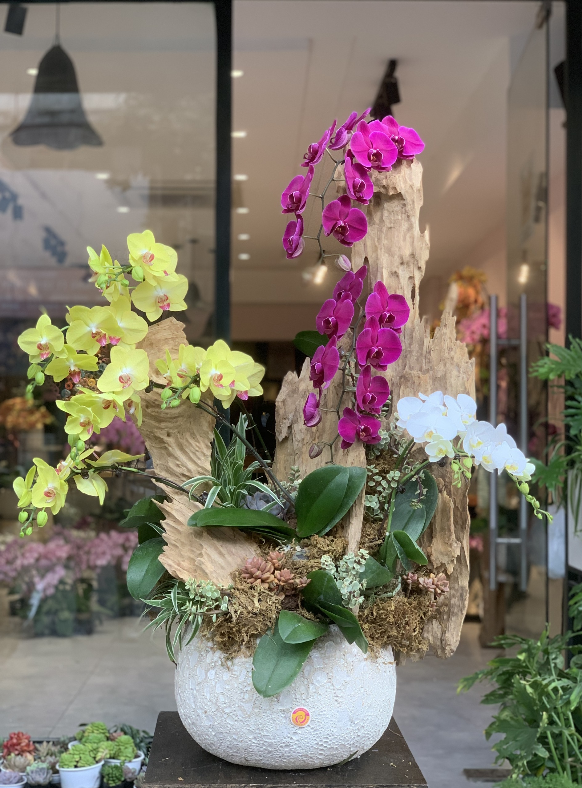 Hoà quyện hay Hoà quyện? Gallery 2