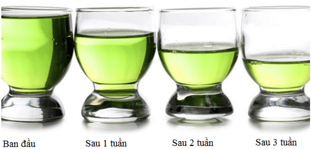 Hồi Nào? Gallery 2