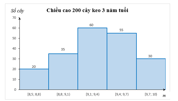 Mốt của mẫu số liệu là gì? Cách tìm mốt Gallery 2