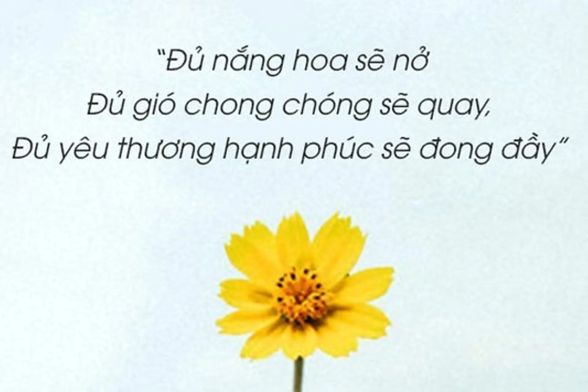 Nắng nôi hay nắng nôi Gallery 2