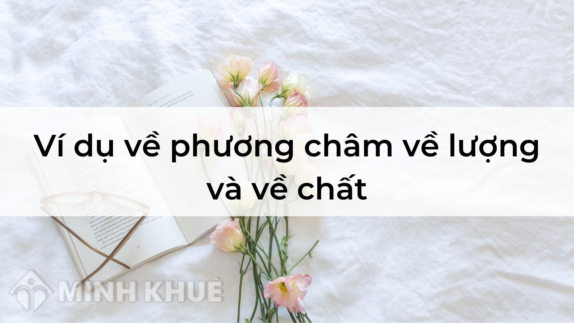 Phương Châm Về Lượng Là Gì? Gallery 2
