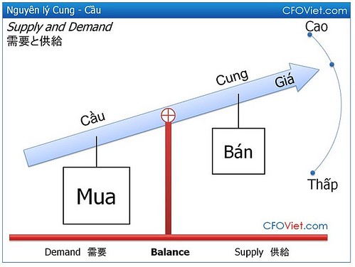 Quy luật cầu là gì? Định nghĩa, Ví dụ và Ứng dụng Gallery 2