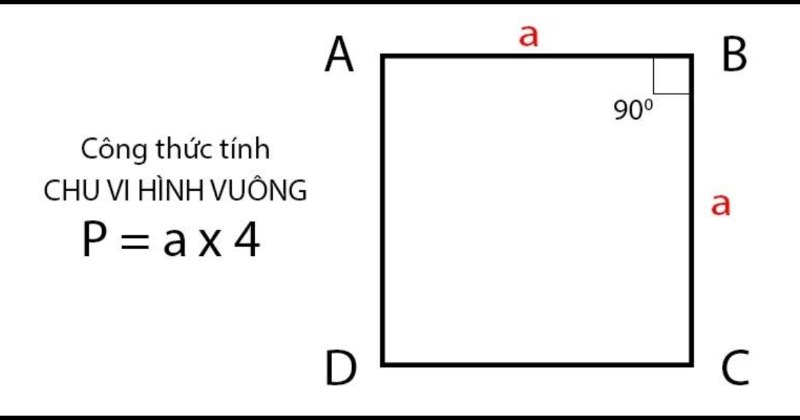 Quy tắc tính chu vi hình vuông Gallery 2