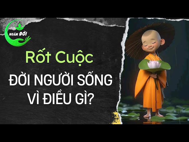 Rốt cuộc là gì? Gallery 2