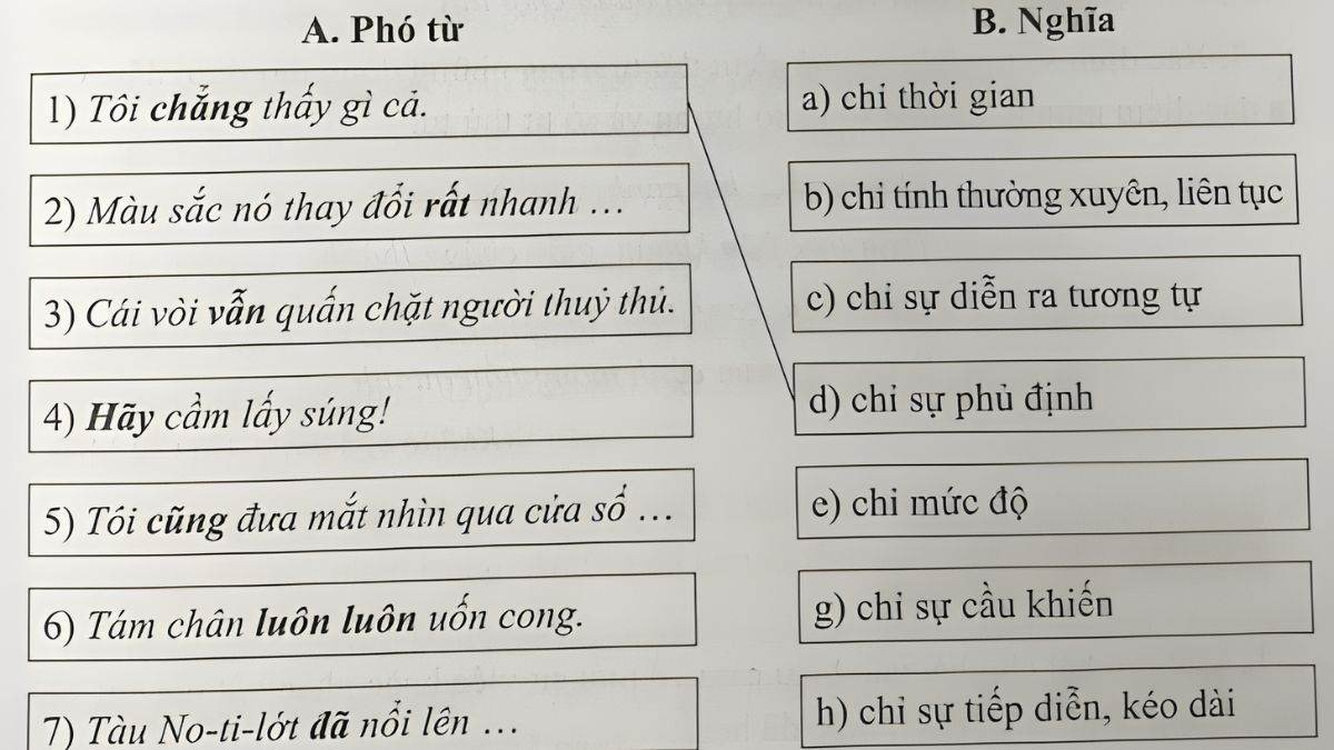 Sau Phó Từ Là Gì? Gallery 2