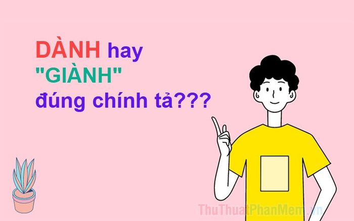 Giành ăn hay dành ăn? Gallery 2