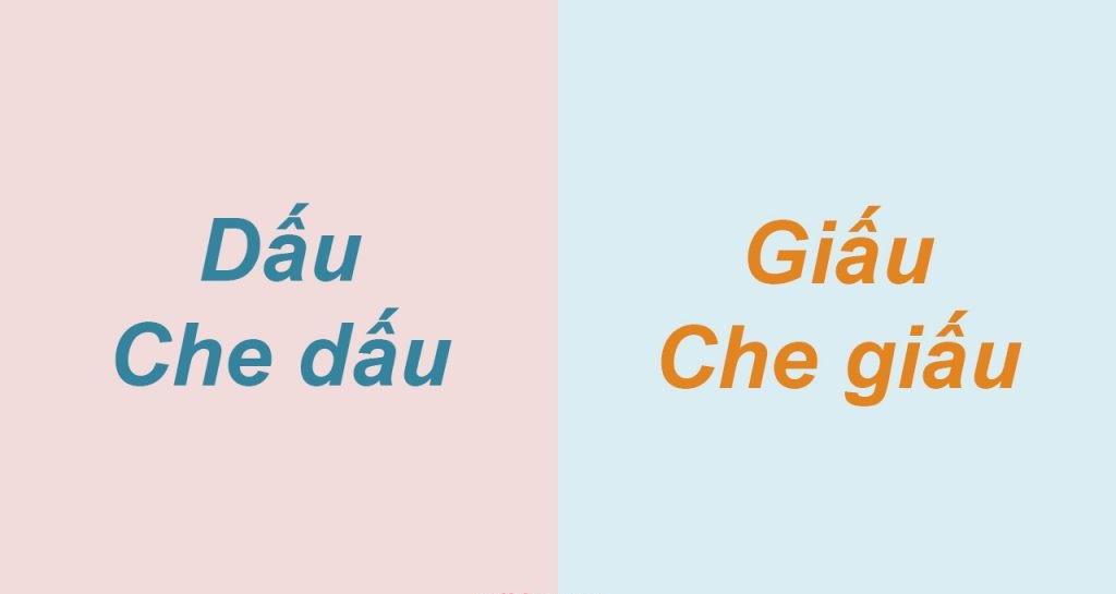 Giấu hay Dấu? Sử dụng đúng ngữ pháp tiếng Việt Gallery 2