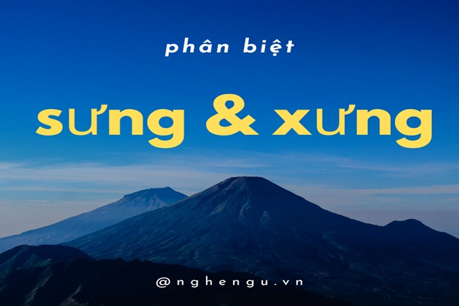 Sung Quá Hay Xung Quá? Gallery 2