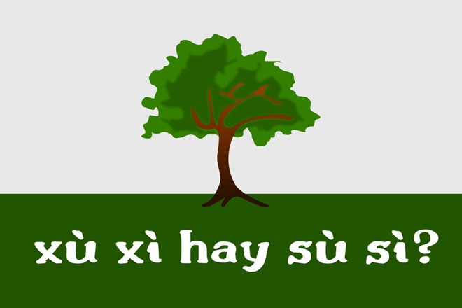 Sù sì hay xù xì? Gallery 2