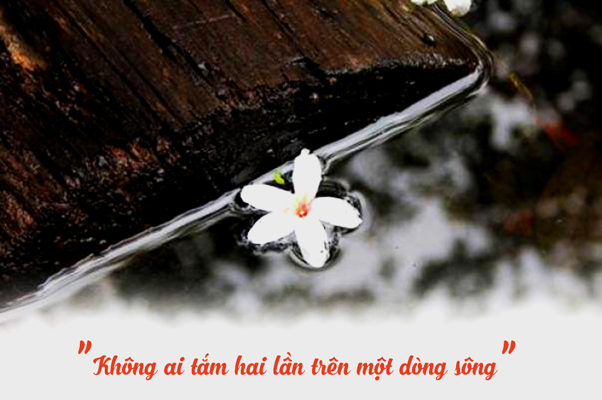 Tắm Hai Lần Trên Một Dòng Sông Gallery 2