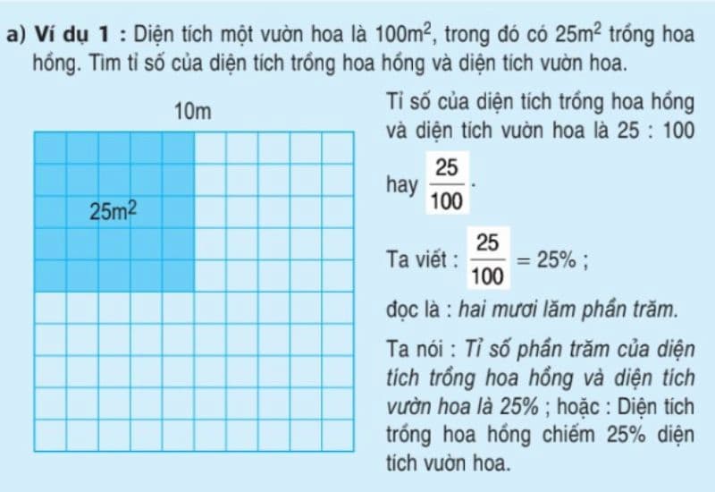 Tỉ số phần trăm dạng 2 Gallery 2