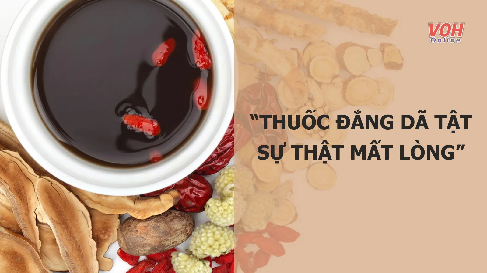 Thuốc Đắng Giã Tật Gallery 2