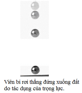 Trọng lực tác dụng lên một vật có khối lượng Gallery 2