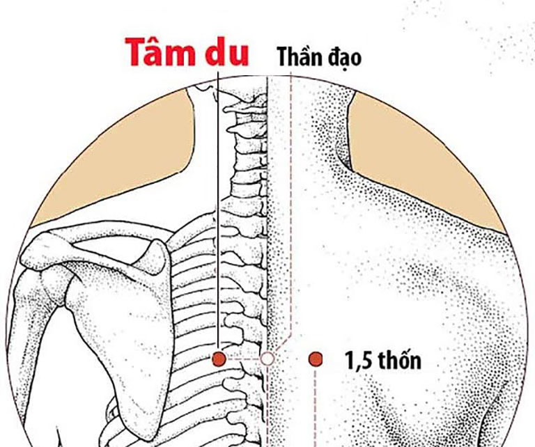 Tâm Huyết Là Gì? Định Nghĩa, Ví Dụ Và Vai Trò Của Tâm Huyết Gallery 2