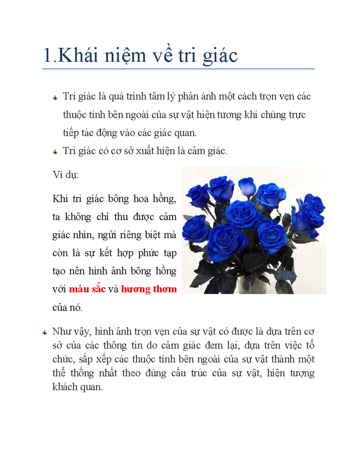 Tri giác là gì? Ví dụ minh họa Gallery 2