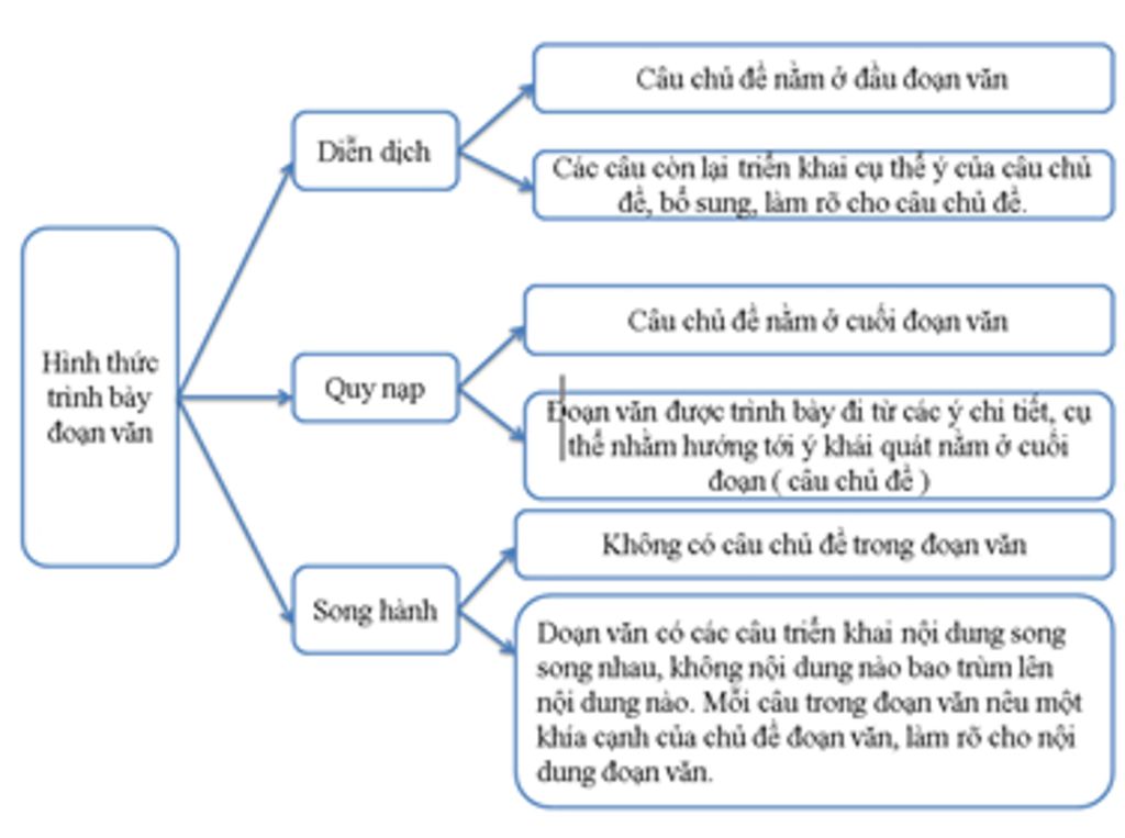 Viết Đoạn Văn Quy Nạp Hiệu Quả Gallery 2