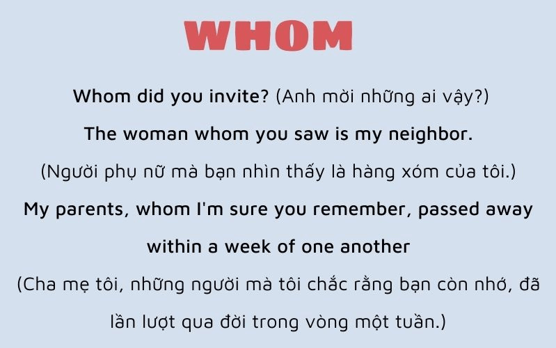 Who, Whom, Which là gì? Gallery 2