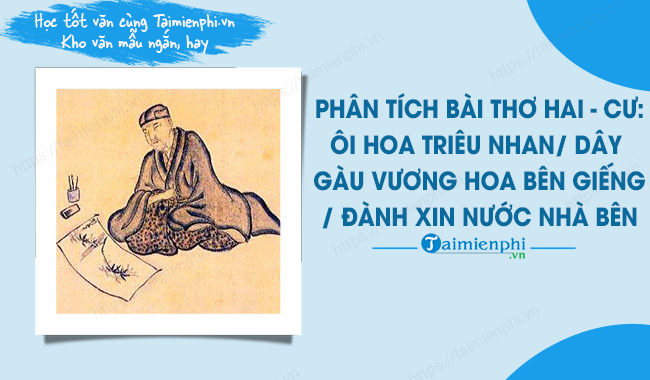 Phân tích Thơ Haiku: Cẩm Nang Hoàn Chỉnh Gallery 2