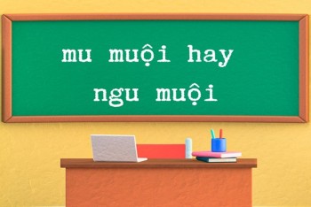 Quấn quít hay quấn quýt? Gallery 2