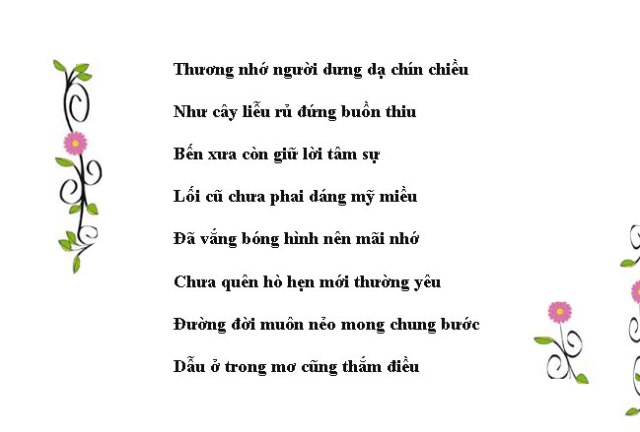 Thỉu Thiu Là Gì? Gallery 2