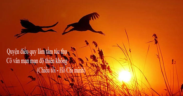 Phân tích Chiều Tối Hay Nhất: Hướng Dẫn Chi Tiết & Ví Dụ Thực Tế Gallery 2