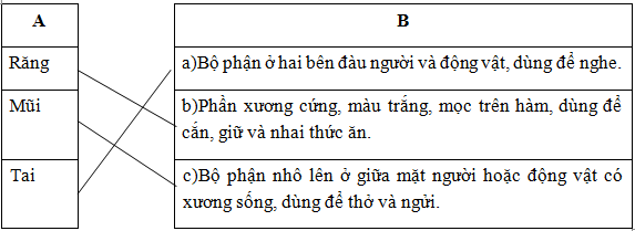 Ví dụ từ nhiều nghĩa trong Tiếng Việt Gallery 2