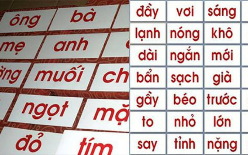 Ví dụ Từ Thuần Việt: Làm Giàu Từ Kho Từ Ngữ Việt Nam
