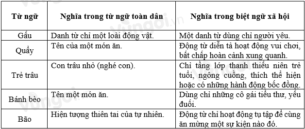 Ví dụ về biệt ngữ xã hội