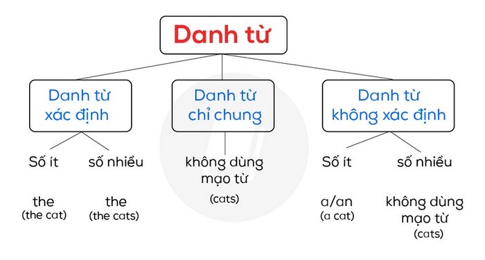 A là loại từ gì trong tiếng Anh? Gallery 2