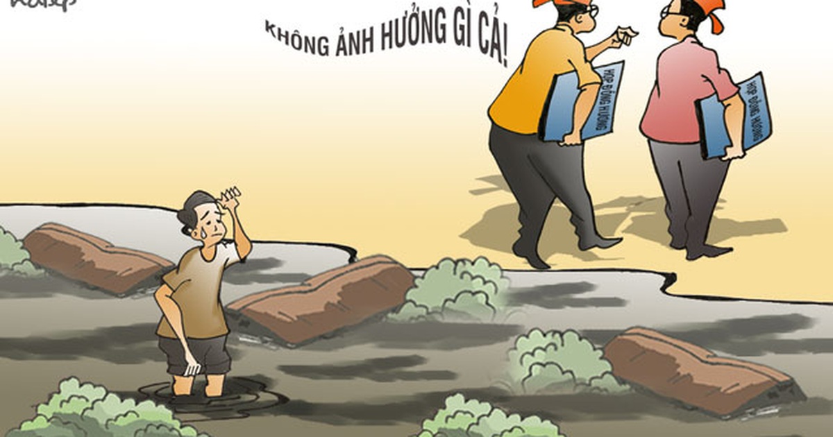 Tréo ngoe là từ gì? Gallery 2