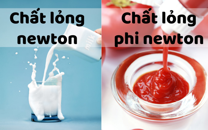 Chất lỏng phi Newton là gì? Gallery 2