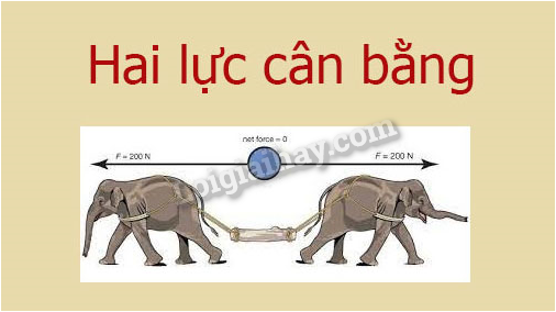 Thế nào là hai lực cân bằng? Gallery 2