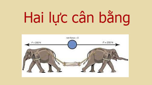 Hai Lực Cân Bằng Là Gì? Gallery 2