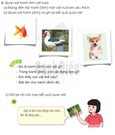Thật Đáng Khen Lớp 2 Gallery 2