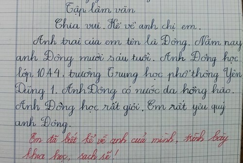 Lời Nhận Xét Môn Tiếng Việt Lớp 2: Hướng Dẫn Viết và Ví Dụ Gallery 2