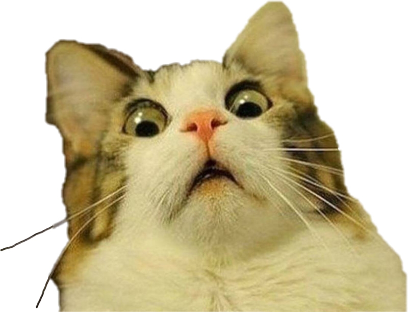 Meme Bất Ổn Là Gì? Tổng Hợp Meme Bất Ổn Hay Nhất Gallery 2