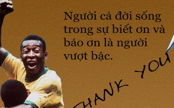 Ví dụ về người có lòng biết ơn