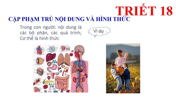 Ví dụ về nội dung và hình thức bài viết SEO