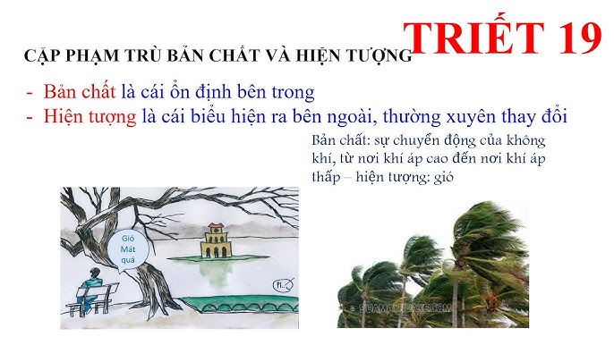 Ví dụ về phạm trù Bản chất và Hiện tượng