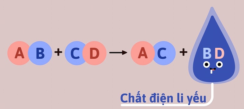 Phản ứng trao đổi là gì? Gallery 2