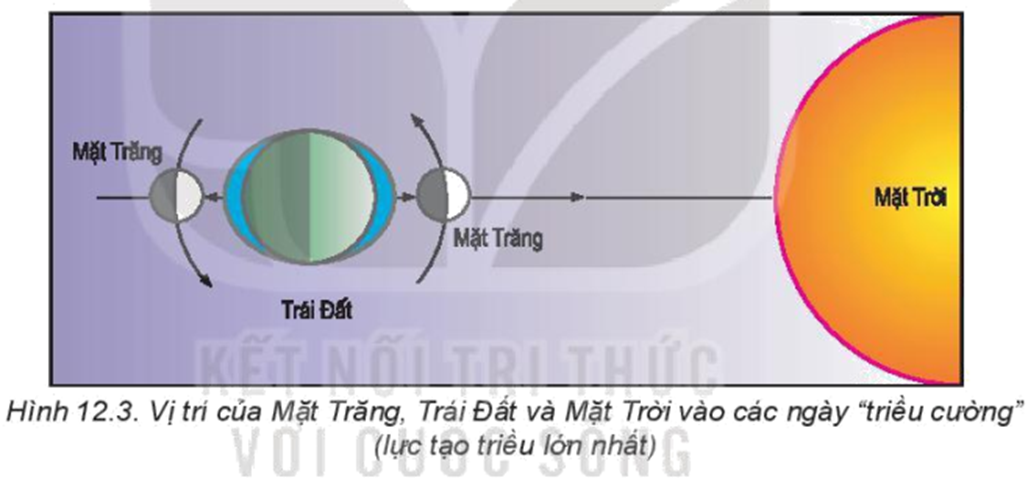 Phát biểu nào sau đây không đúng với dao động của thủy triều? Gallery 2