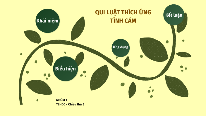 Ví dụ về Quy luật Thích ứng của Tình cảm