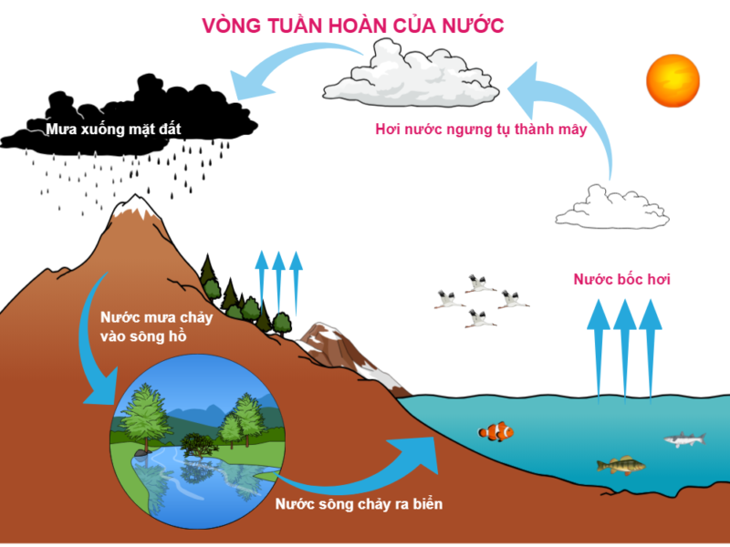 Ví dụ về Sự Ngưng Tụ: Hiện Tượng Thường Gặp Trong Cuộc Sống Gallery 2