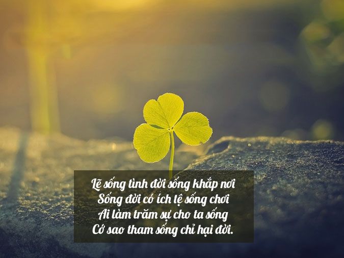 Thơ 7 chữ 4 câu: Bí quyết sáng tác và những bài thơ hay Gallery 2