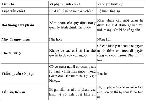 Ví dụ về Tội phạm và Giải thích